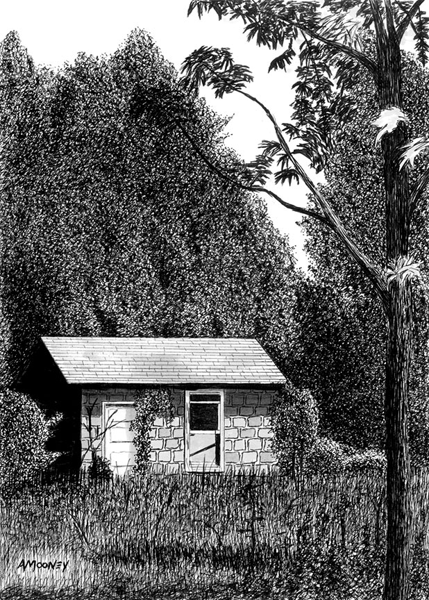 the-old-shed