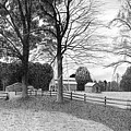 Freeze Farm