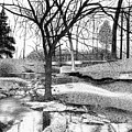 Liberty Park