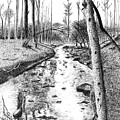 Poison Fork Creek